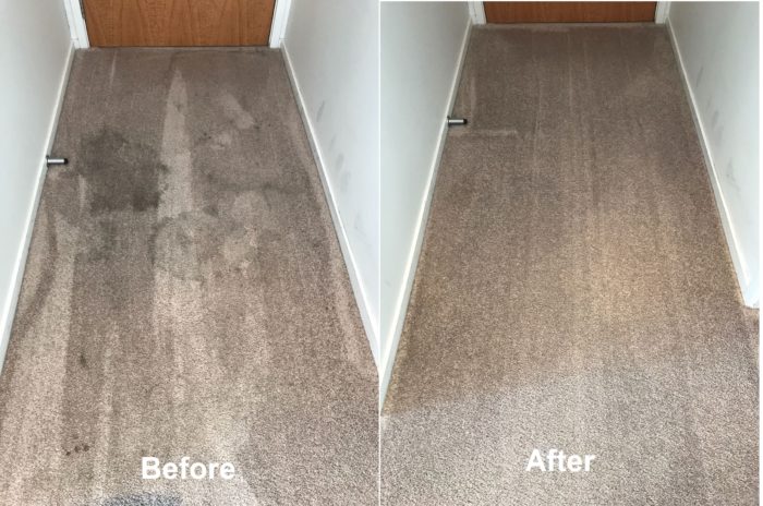 professional carpet cleaner Auckland