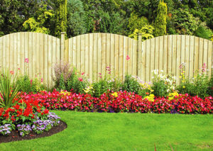 Taupo fence building company